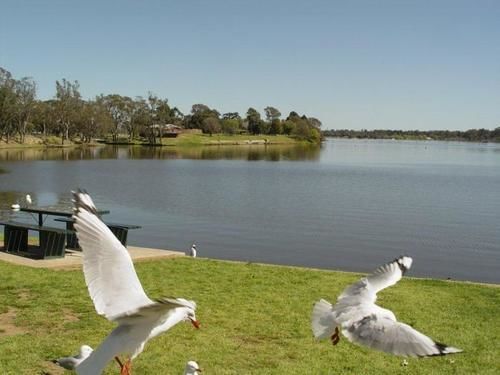 Centre Town Motel Nagambie Ngoại thất bức ảnh